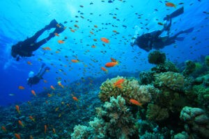 Labuan Bajo untuk snorkeling