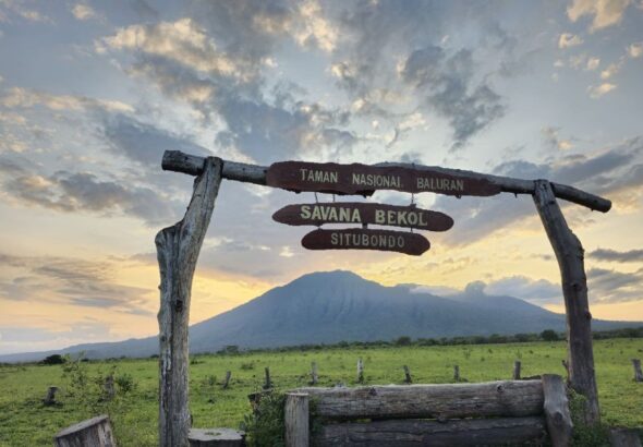 Taman Nasional Baluran