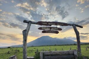 Alas baluran