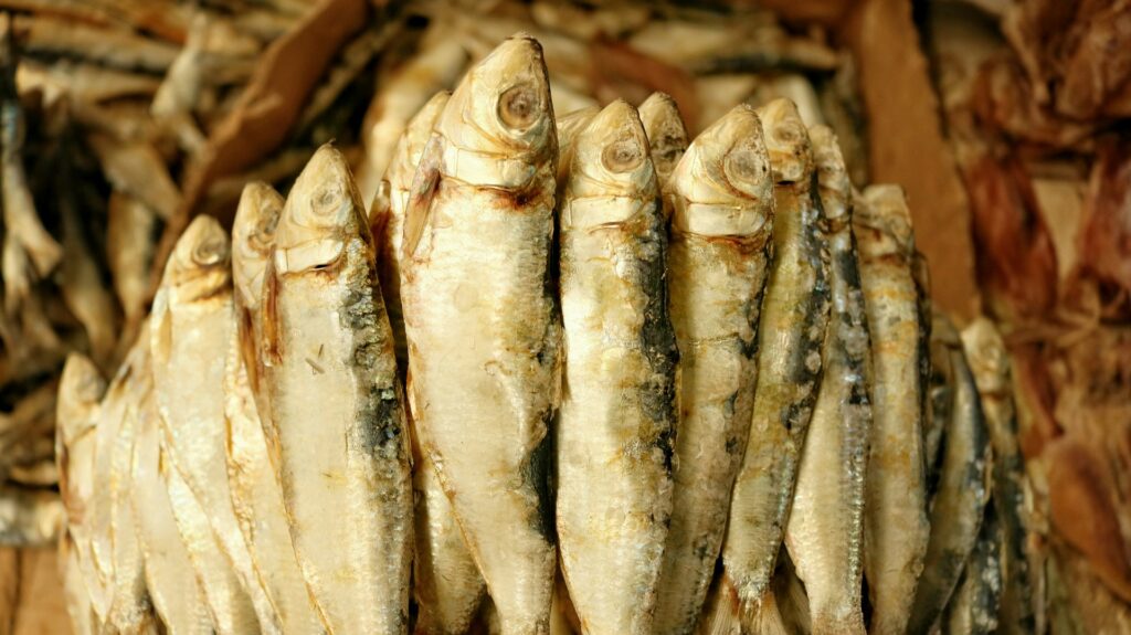 ikan asin
