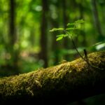 pentingnya menjaga alam