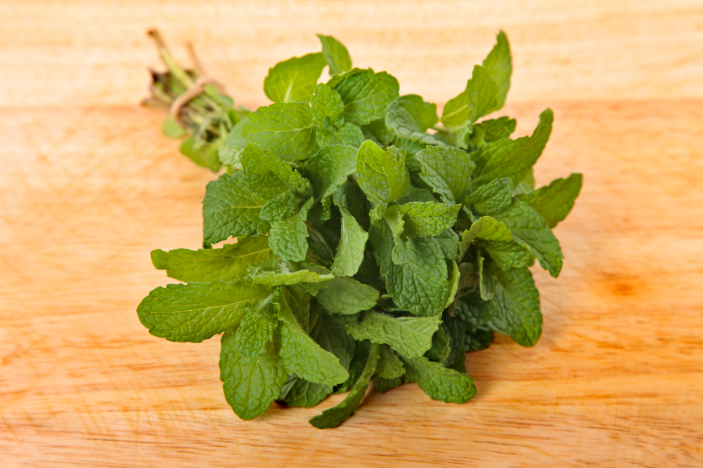 Daun mint